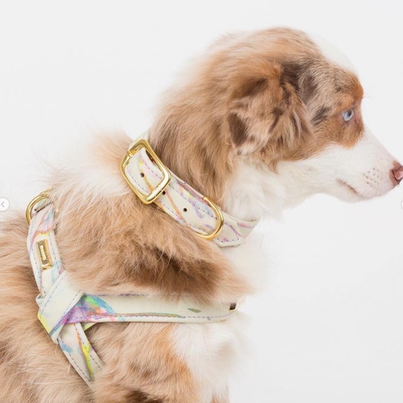 Wool and Leather Dog Collar by Hound Collection with Gold Bar Logo - Picture 4 of 8